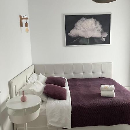 Alma Apartments Suceava Luaran gambar