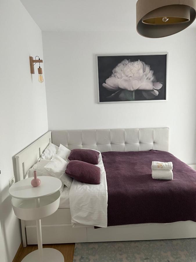 Alma Apartments Suceava Luaran gambar